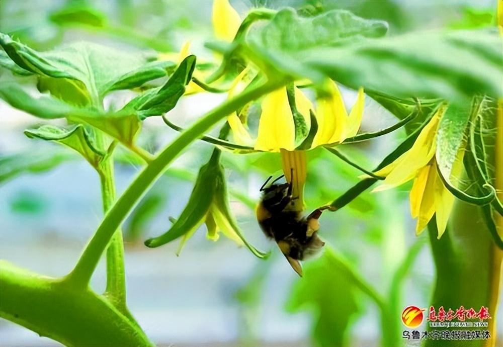 強(qiáng)信心 起好步 開新局丨科技賦能，食品企業(yè)以溫濕度控制器加速生產(chǎn)